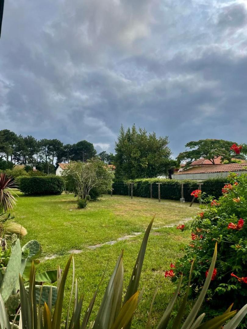 Appartement T3 - Foret & Plage Anglet Luaran gambar