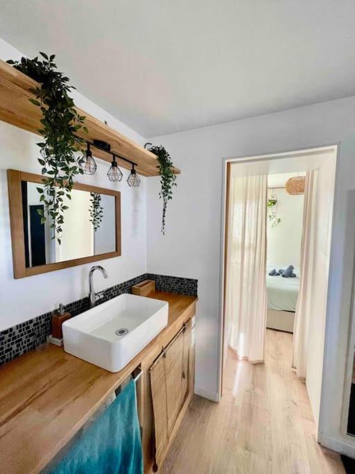 Appartement T3 - Foret & Plage Anglet Luaran gambar